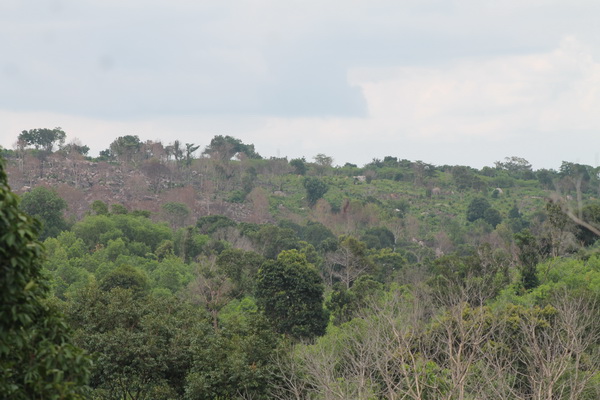 diem nong pha rung tren dao phu quoc