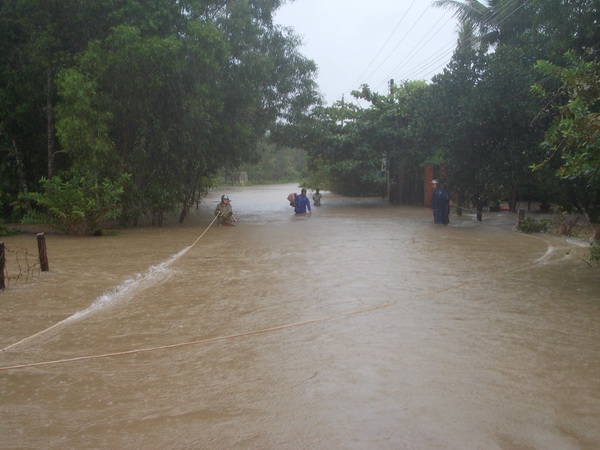 phu quoc chu dong phong chong lut bao giam nhe thien tai