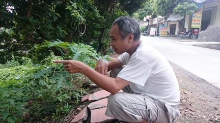 ha nam thap thom song chung voi dong song o nhiem nang