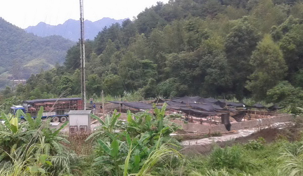 cao bang dinh chi hoat dong 2 bai tap ket trung chuyen lon gay o nhiem