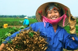tri tue va cai tam cua gioi lanh dao la dieu ma nhan dan luon tim kiem