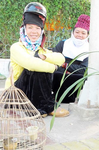 thiet ke mu bao hiem cho phu nu dan toc bai toan kho cho nha san xuat