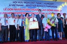 don nhan huan chuong lao dong hang ba va ky niem 65 nam thiet lap quan he ngoai giao viet nam hungary