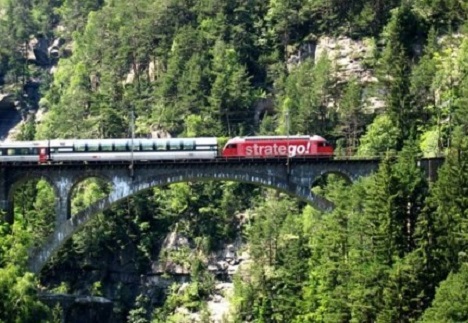 bo tri tau rieng cho nguoi chau a vi ngan ngam du khach tq