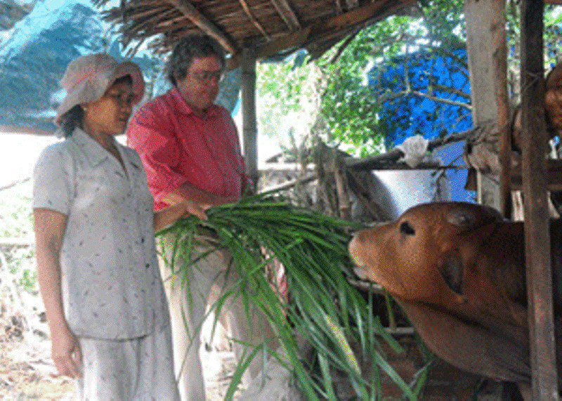 quang ngai phe duyet du an ho tro nguoi ngheo do to chuc mqi tai tro