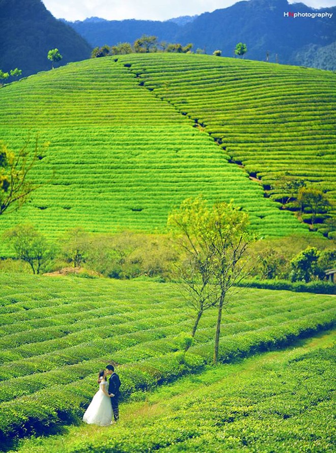 nhung dia diem chup anh cuoi dep gan ha noi