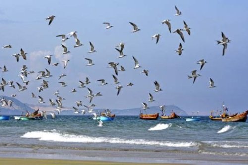 ra tuyen bo chung gom 6 diem ve bien dong