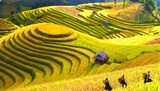 phe duyet de an nam du lich quoc gia 2017 lao cai tay bac