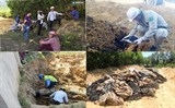 thanh tra formosa chi trong nua ngay