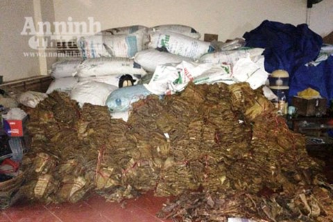 phat hien 26 tan mang kho dang tam hoa chat tai nghe an