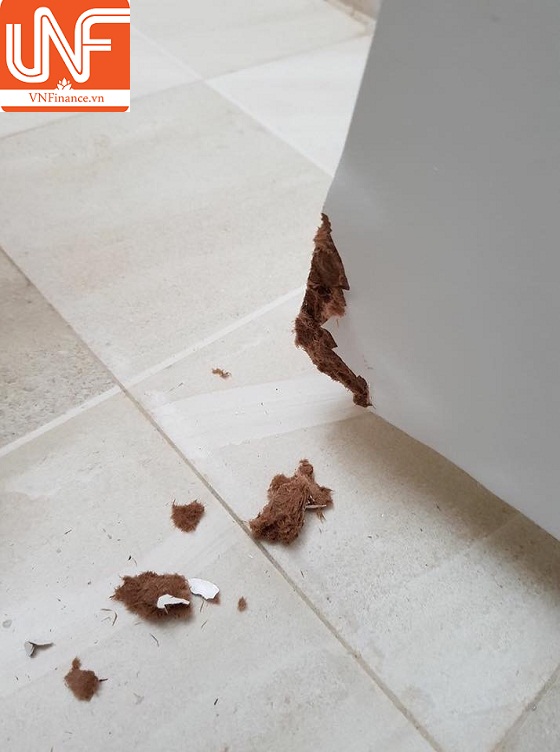 du an ecolife capitol tiep tuc bi cu dan to boi tin voi khach hang