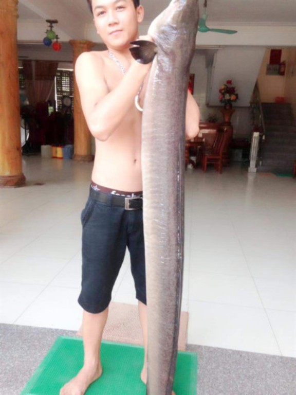 ca lech khung dai 2m nang 20kg duoc ban voi gia 20 trieu dong o nghe an