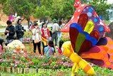festival hoa da lat lan thu 7 hoa da lat ket tinh ky dieu tu dat lanh