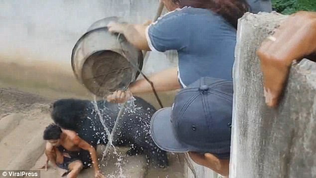 thai lan du khach song sot day ky tich sau khi bi mot con gau loi vao trong chuong