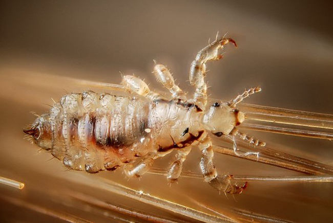 thoi buoi nay roi ma van co nguoi sach toi noi chay di du lich tung tang tren toc