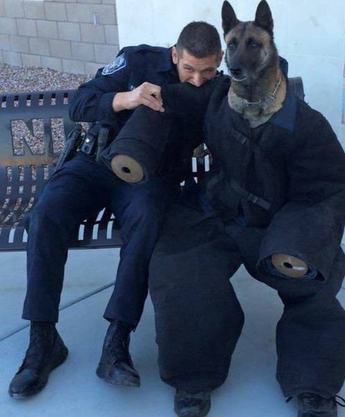 17 tiet muc cosplay khien hoi thu cung ghet cay ghet dang chu nhan