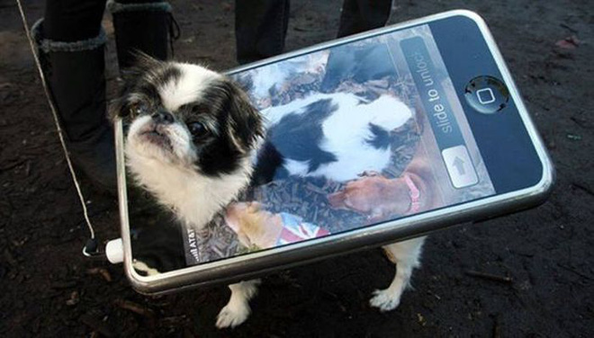 17 tiet muc cosplay khien hoi thu cung ghet cay ghet dang chu nhan