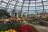 vinpearl land mo cua doi van hoa cong vien thuc vat doc dao nhat viet nam