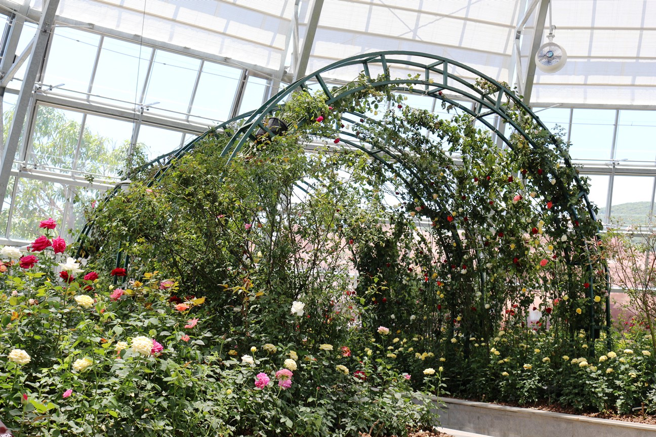 vinpearl land mo cua doi van hoa cong vien thuc vat doc dao nhat viet nam