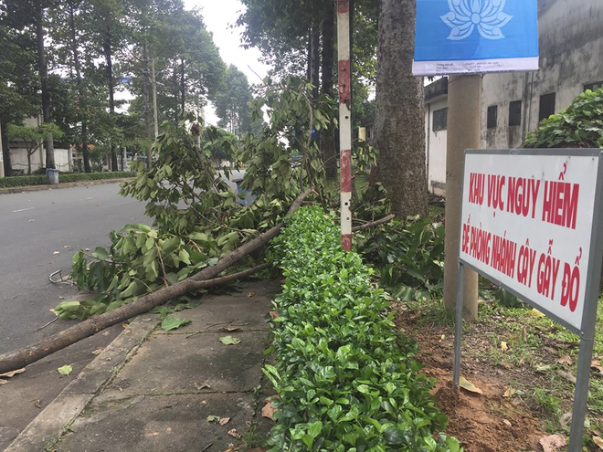 bi nhanh cay roi trung dau co gai bi xuat huyet nao cap cuu trong tinh trang nguy kich