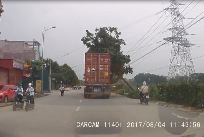 clip container dam trung canh cay roi de vao co gai di xe may phia sau