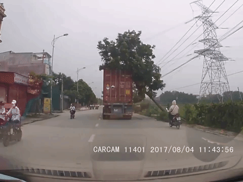 clip container dam trung canh cay roi de vao co gai di xe may phia sau