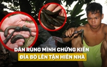 nguoi dan rung minh chung kien chuyen chua tung co dia bo len tan hien nha