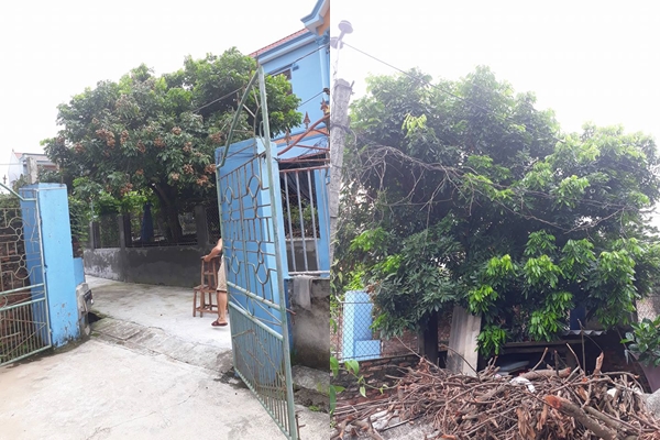 cay nha nguoi ta nhung qua o nha minh tinh canh nhuc nhoi khien bao nguoi kho tam mua he nay