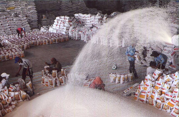 xuat khau gao dat muc tieu dat 23 ty usd vao nam 2020