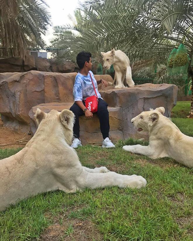 cuoc song toan hang hieu sieu xe thu cung dac biet va lam ban voi nguoi noi tieng cua cau am dubai 15 tuoi