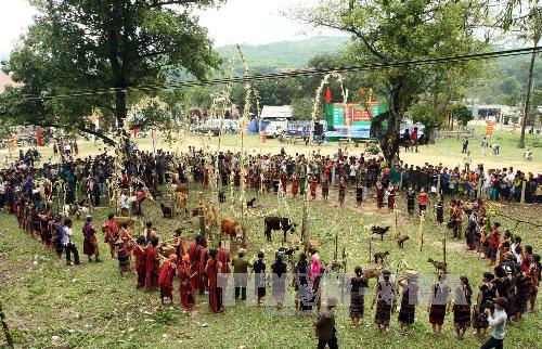 le hoi arieuping tro lai sau 15 nam vang bong