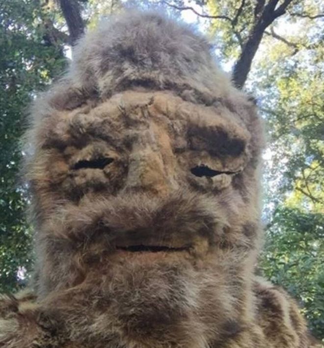 thuc hu cau chuyen quai vat big foot xuat hien ngay giua ban ngay lieu sinh vat ky la nay co that
