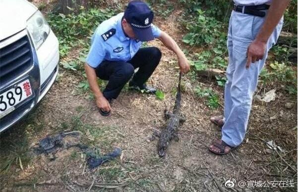 quoc bao bi dien giat noi phenh tren mat nuoc canh sat treo thuong tim thu pham