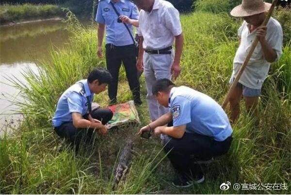 quoc bao bi dien giat noi phenh tren mat nuoc canh sat treo thuong tim thu pham