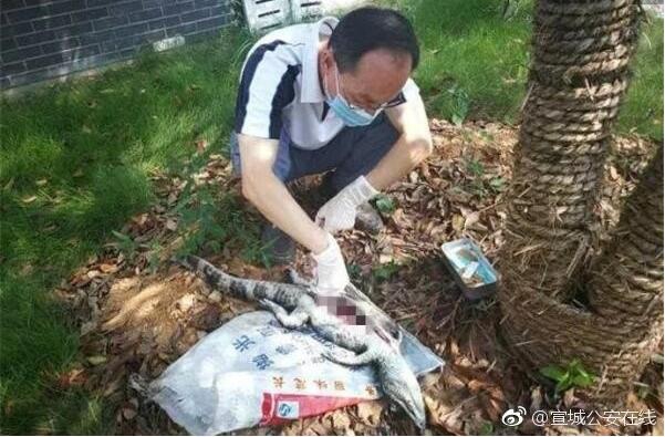 quoc bao bi dien giat noi phenh tren mat nuoc canh sat treo thuong tim thu pham