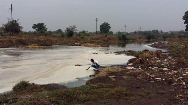 an do kinh ngac voi su xuat hien cua chu cho mau xanh lam