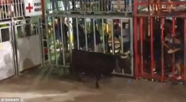 khoanh khac bo tot lao qua hang rao huc trung khan gia dung xem trong le hoi thuong nien