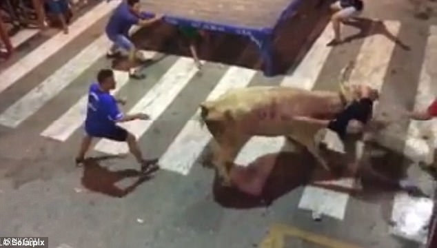 khoanh khac bo tot lao qua hang rao huc trung khan gia dung xem trong le hoi thuong nien