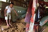 mua lon gay sat lo dat tai bac kan lam 2 nguoi chet va bi thuong