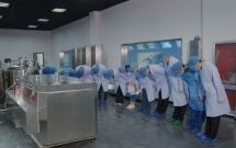 vo qua doi vi ung thu chong quyet dinh dong lanh thi the cho mong ngay vo co the hoi sinh