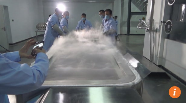 vo qua doi vi ung thu chong quyet dinh dong lanh thi the cho mong ngay vo co the hoi sinh