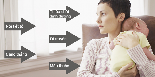 nguoi phu nu viet song tai thuy si va cau chuyen song chung voi tram cam gay sot