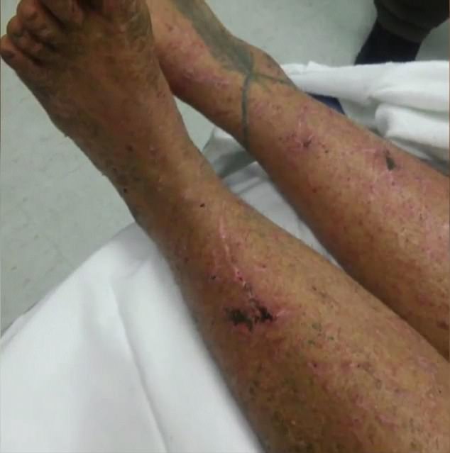 mat tich trong rung gan 1 thang co gai van song sot day ky tich nho an qua dai va nam