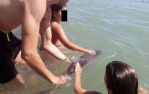 bi du khach chuyen tay nhau vuot ve roi selfie sau khi mac can chu ca heo con chet tham