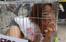 Nhiều thiếu nữ Hàn Quốc co ro trong lồng để phản đối ăn thịt chó