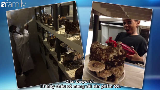 cau be 7 tuoi gay soc khi doi tro thanh ty phu giong steve harvey