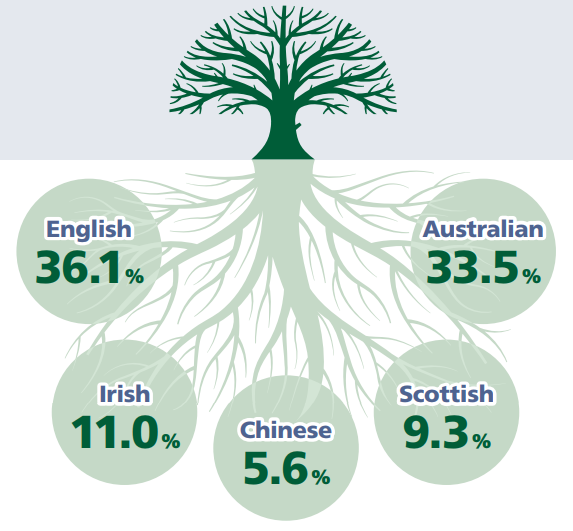 vi sao hien phap australia dang gian tiep khien nuoc nay kho tim nguoi tai tham gia chinh tri