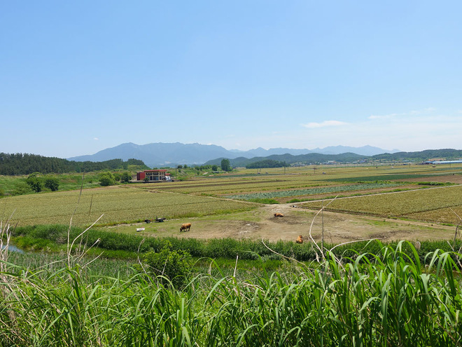 cuoc song tai trieu tien va han quoc co diem gi thu vi khac biet giua 2 dat nuoc