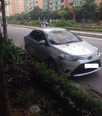 do xe duoi san chung cu tai xe nhan duoc mon qua bat ngo tu tren troi roi xuong
