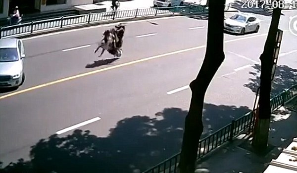 nga lon nhao giua duong chiec xe may tu ro ga bo chay vi gian doi kho chu